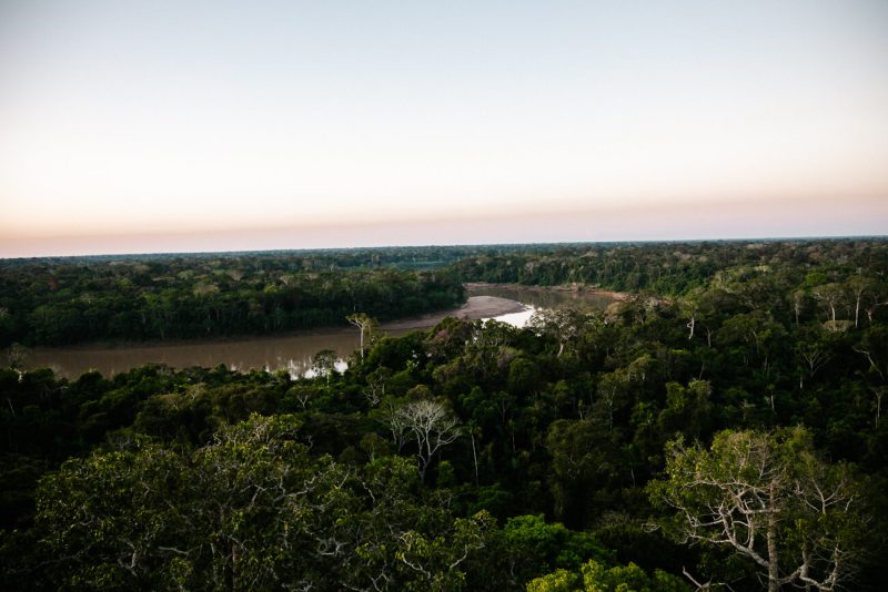 Rainforest Expeditions – all you want to know about visiting the Amazon rainforest in Peru!