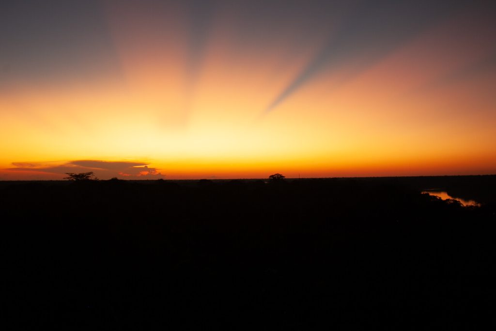 Sunset of Tambopata jungle in Peru.