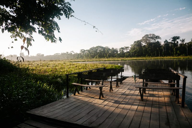 The catamaran tour in de Amazon rainforest of Peru is fantastic. This consists of two wooden boats with a deck, chairs and benches. In order to not to disturb and pollute nature, there is no engine and the skipper manually uses all his forces to transport us. 