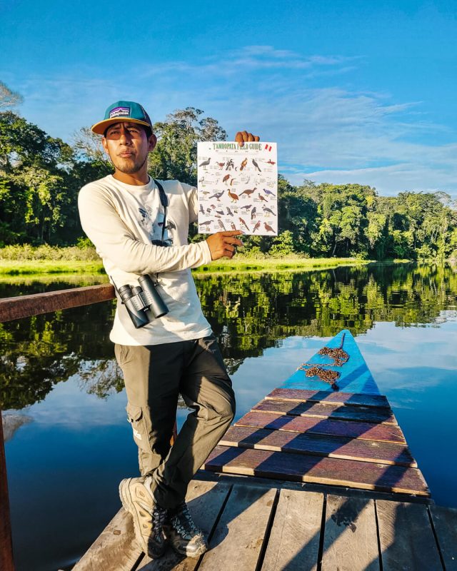 Guide of Rainforest Expeditions explains about birds.