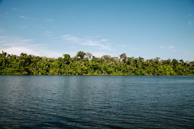 View from catamaran in Oxbox lake. In order to not to disturb and pollute nature, there is no engine and the skipper manually uses all his forces to transport us. 