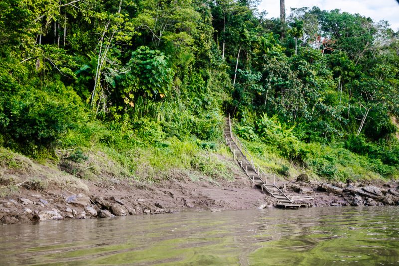 Jetty to reach Refugio Amazonas - jungle lodge Tambopata Peru, by Rainforest Expeditions.