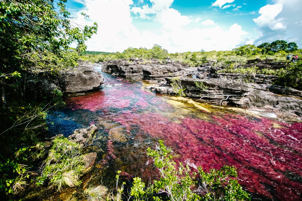 El Caño Cristales is one of the most beautiful places to visit and best things to do in Colombia.