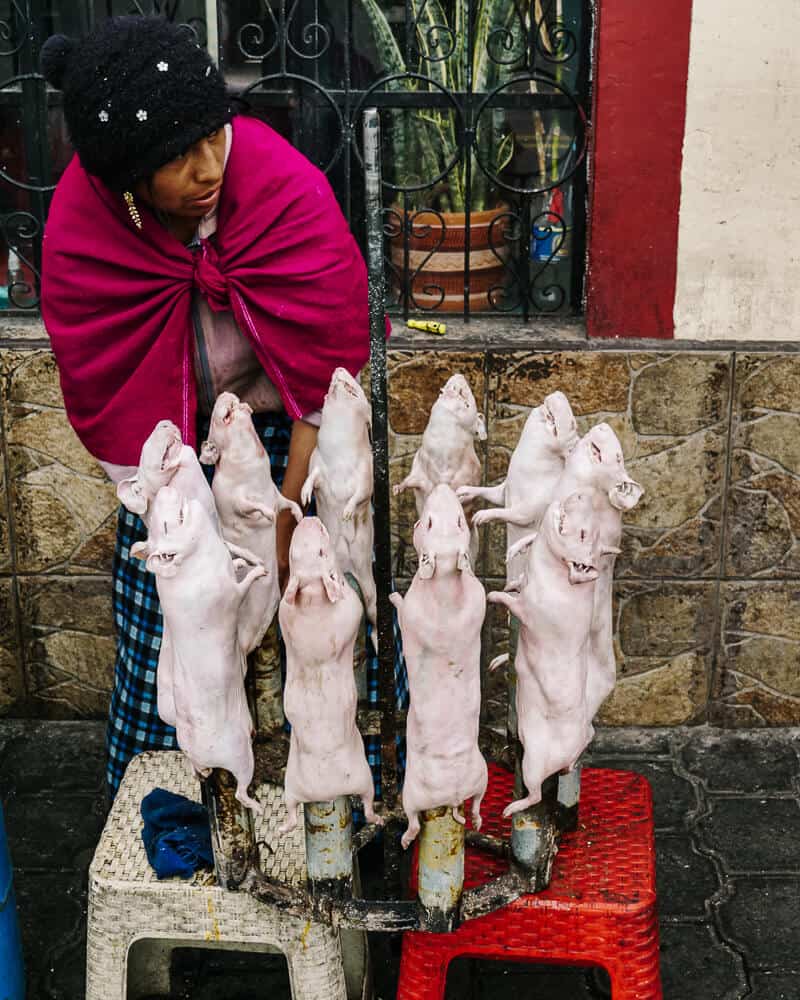 Stalls with spit-roasted guinea pigs.