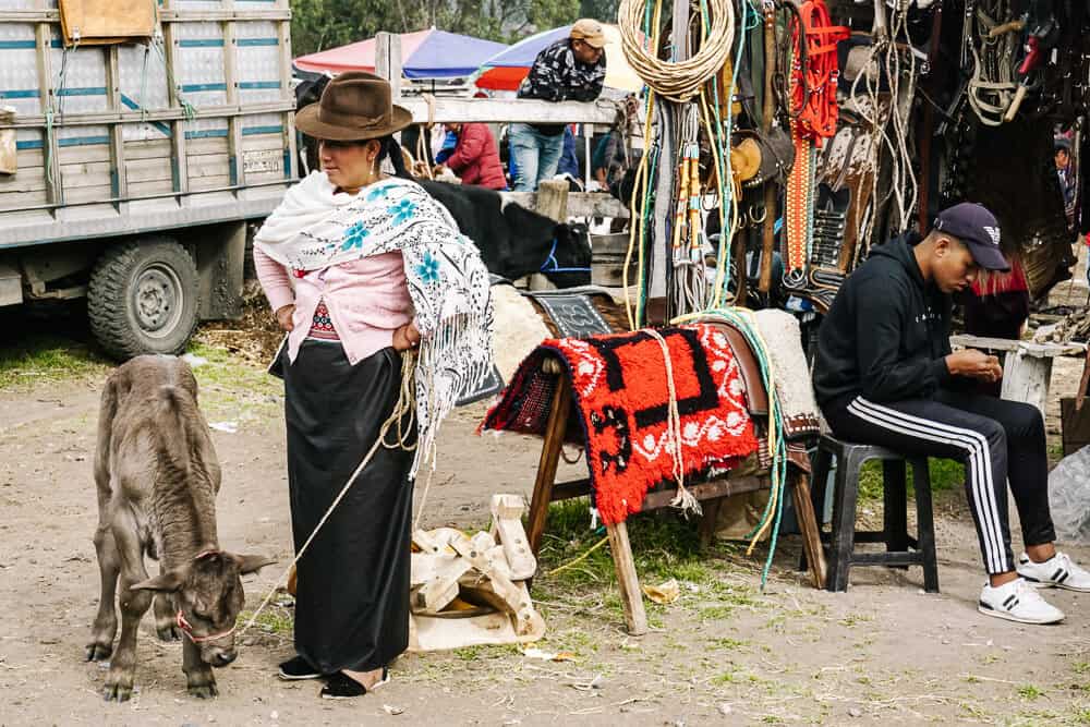 If you happen to be in Otavalo in Ecuador on a Saturday, try to wake up early and visit the cattle market, one of the typical things to do.