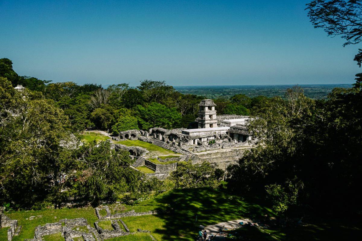 Palenque is one of the archaeological highlights in Mexico because of its location in the jungle. 