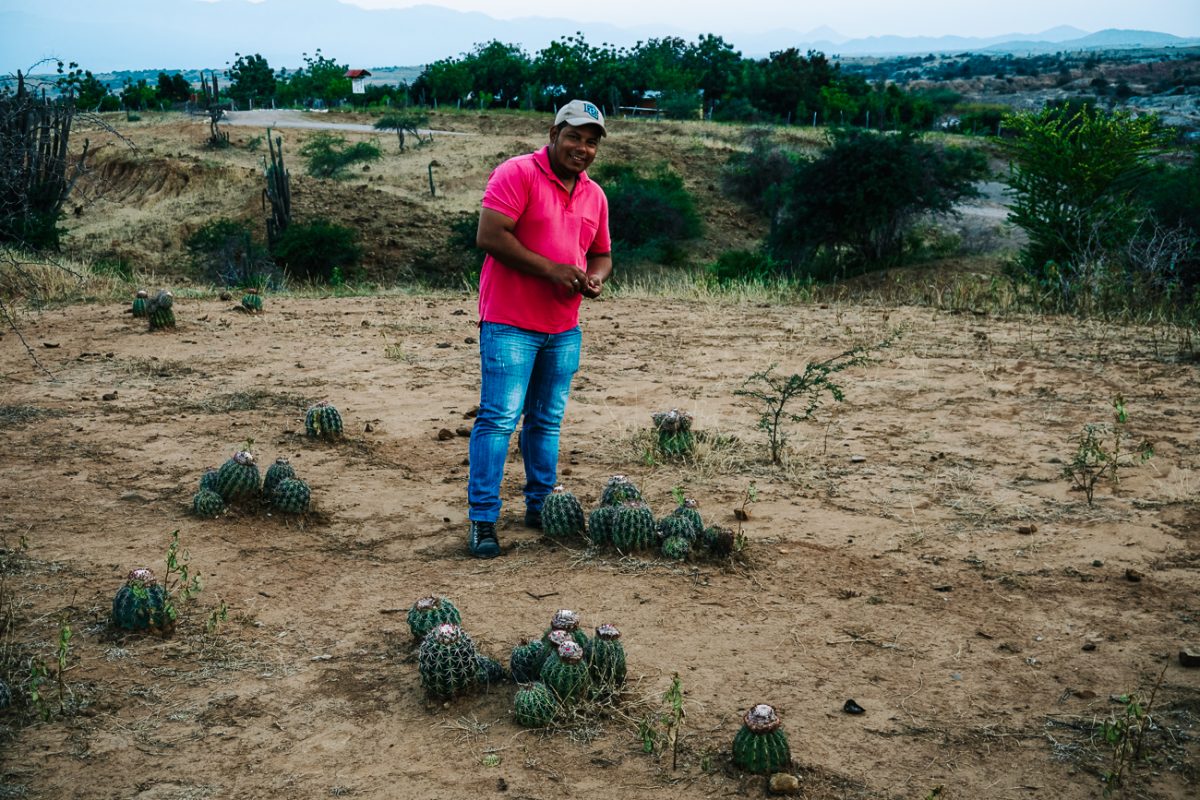 What to do in Tatacoa desert | go on a hike with a guide