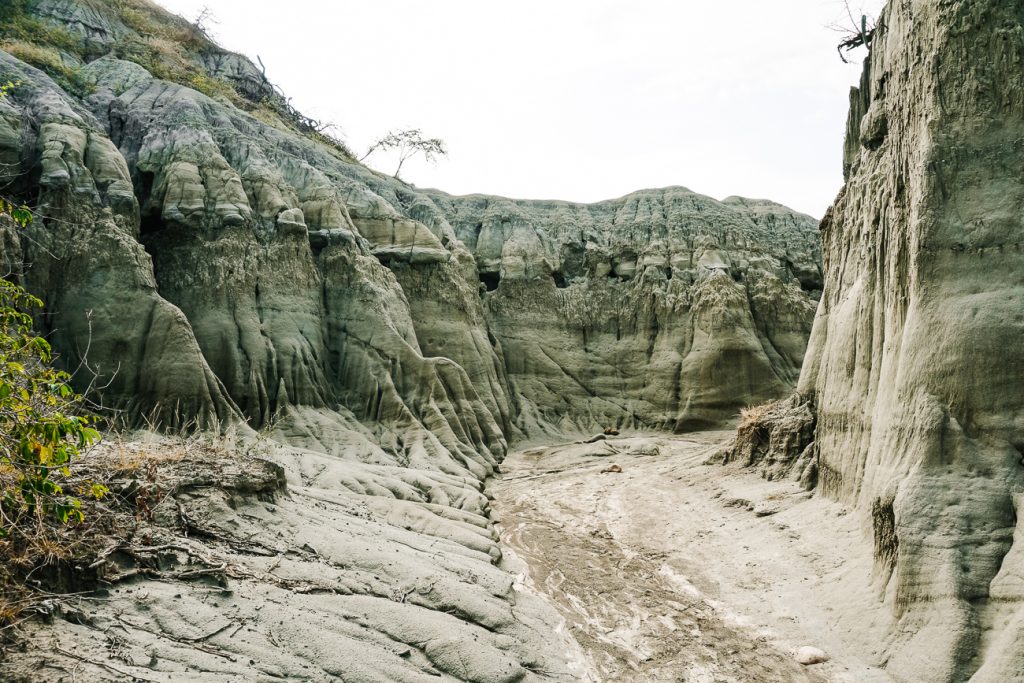 El Desierto de Tatacoa in Colombia bestaat uit Los Hoyos, een bijzondere grillige grijze regio.