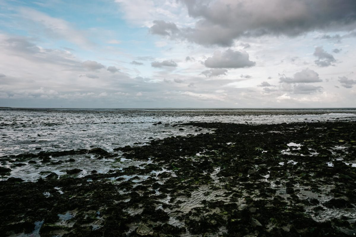 what to do on Texel| hike on the wad