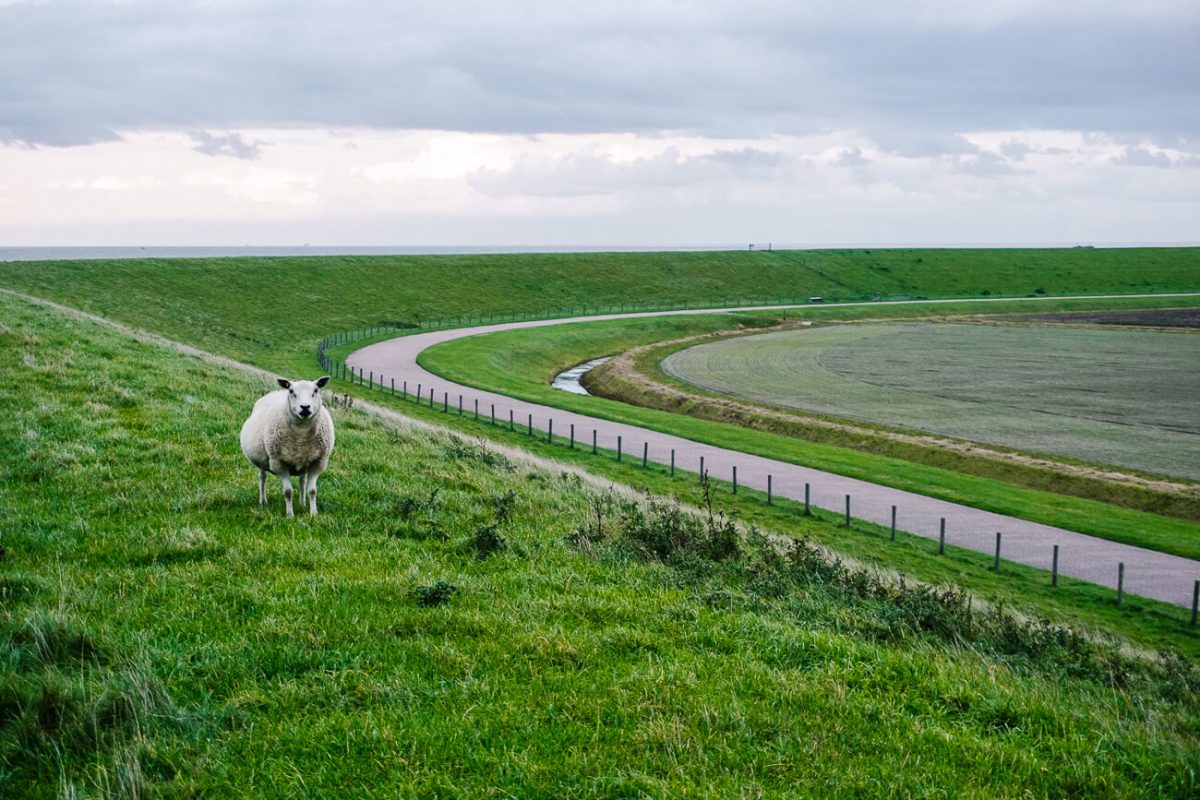 Texel Netherlands