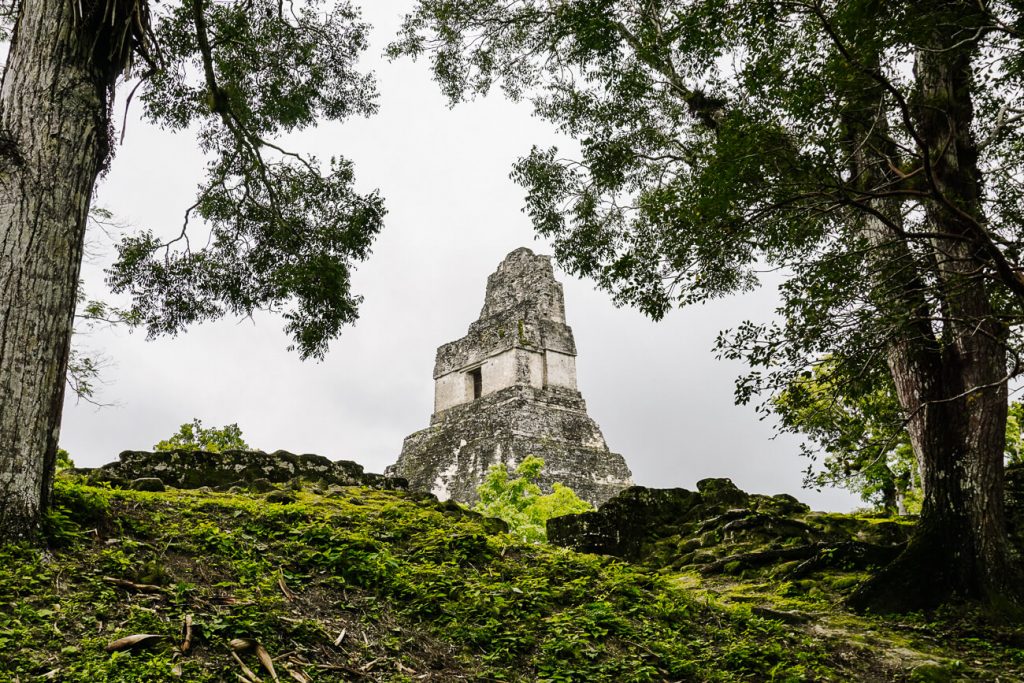 pyramid in tikal National Park | a day trip to tikal