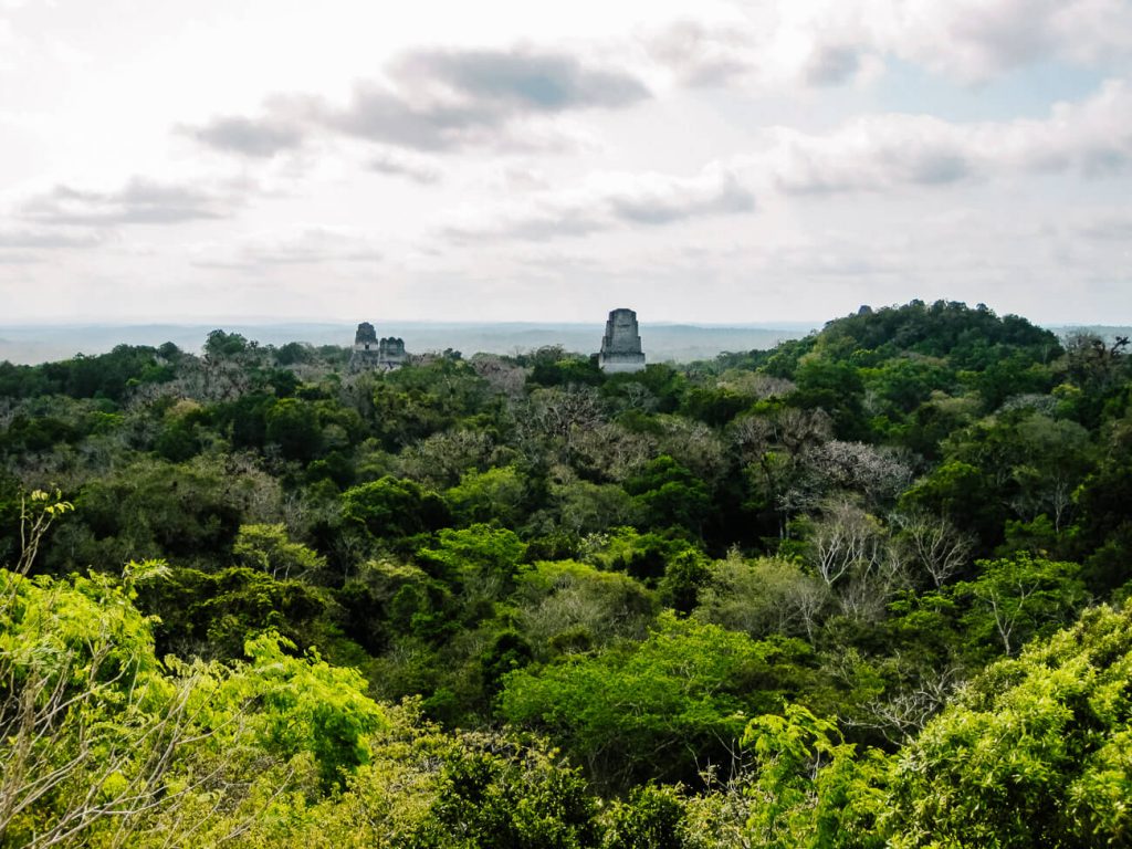 Include Tikal in your Guatemala 2 week Itinerary.