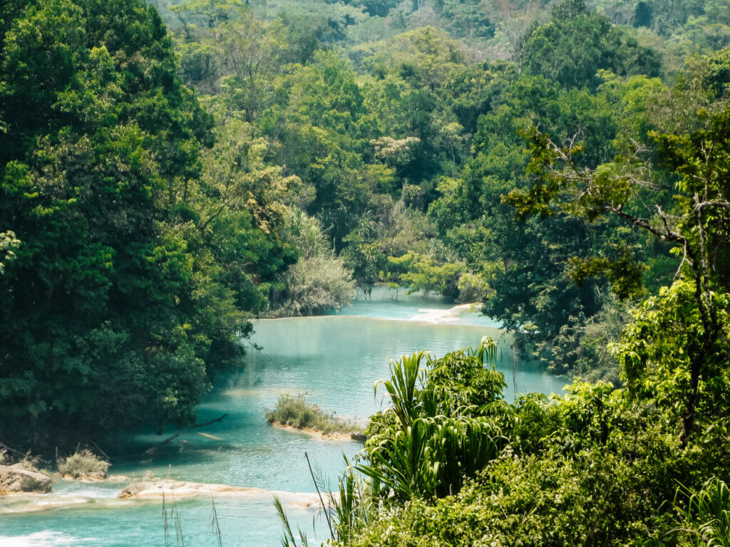 Visit the waterfalls of Palenque during your trip to Mexico, is one of my top travel tips for Mexico.