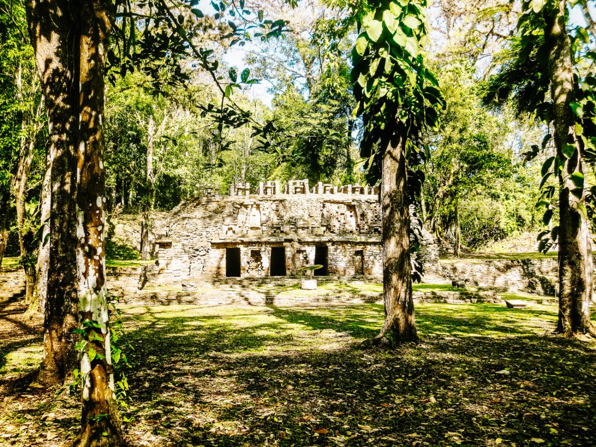 Discover the Yaxchilan ruins – the remote Maya site in Mexico!