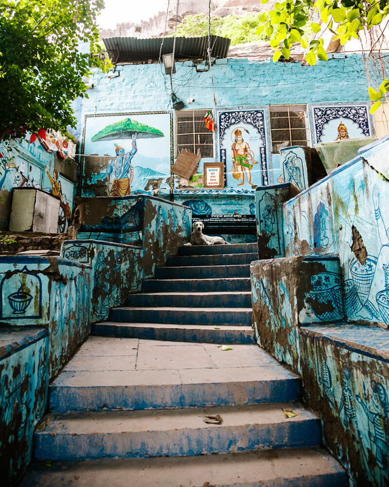 De meeste blauwe huizen vind je nog steeds in de wijk Brahmapuri, de oude stad ten westen van het fort in Jodhpur India.