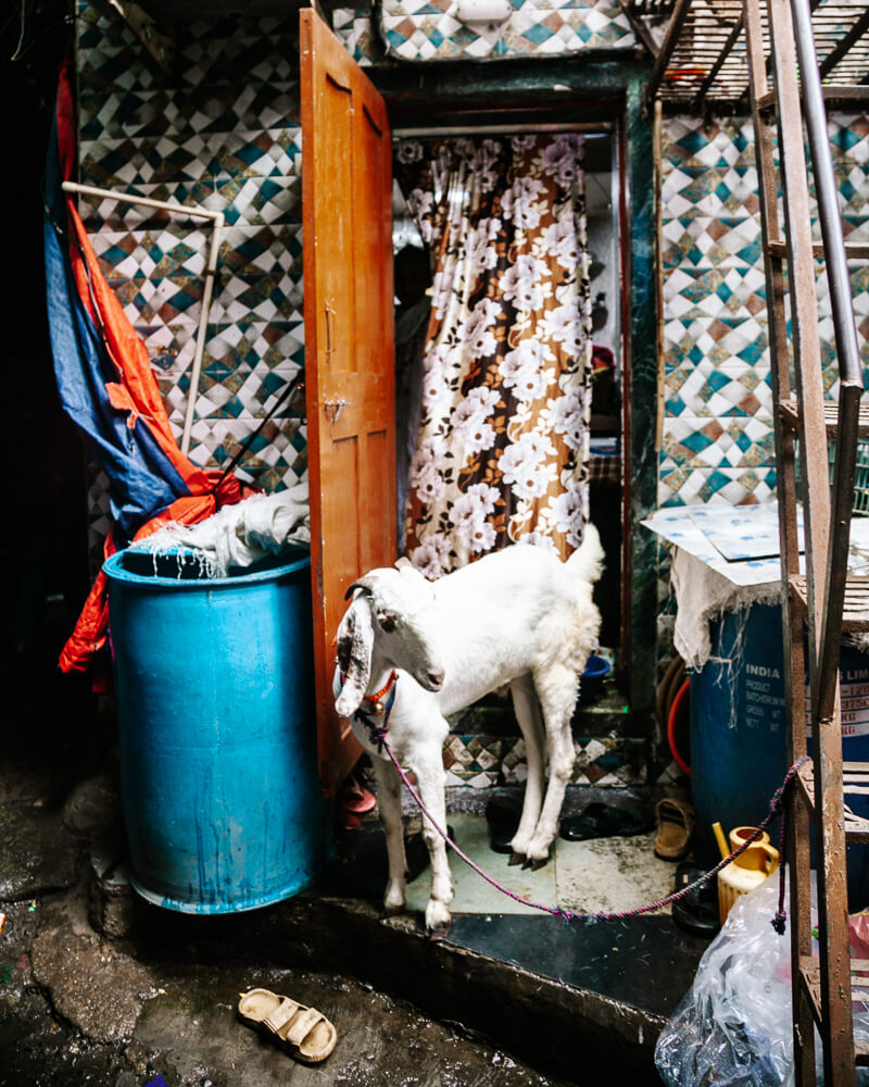 Een van de tours die niet mag ontbreken in dit lijstje van bezienswaardigheden in Mumbai is een bezoek aan sloppenwijk Dharavi.