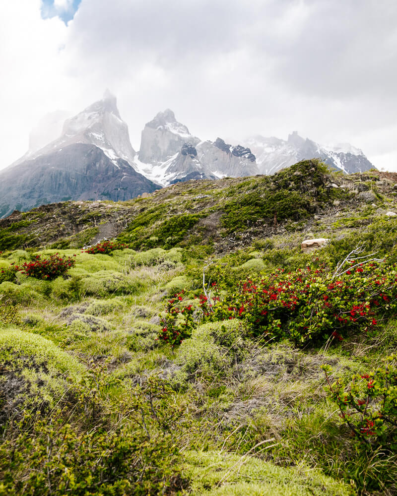 Uitzicht op Los Cuernos.