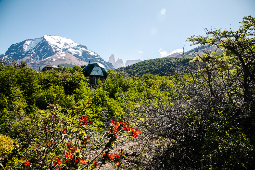 Discover Ecocamp Patagonia dome hotel in Torres del Paine Chile