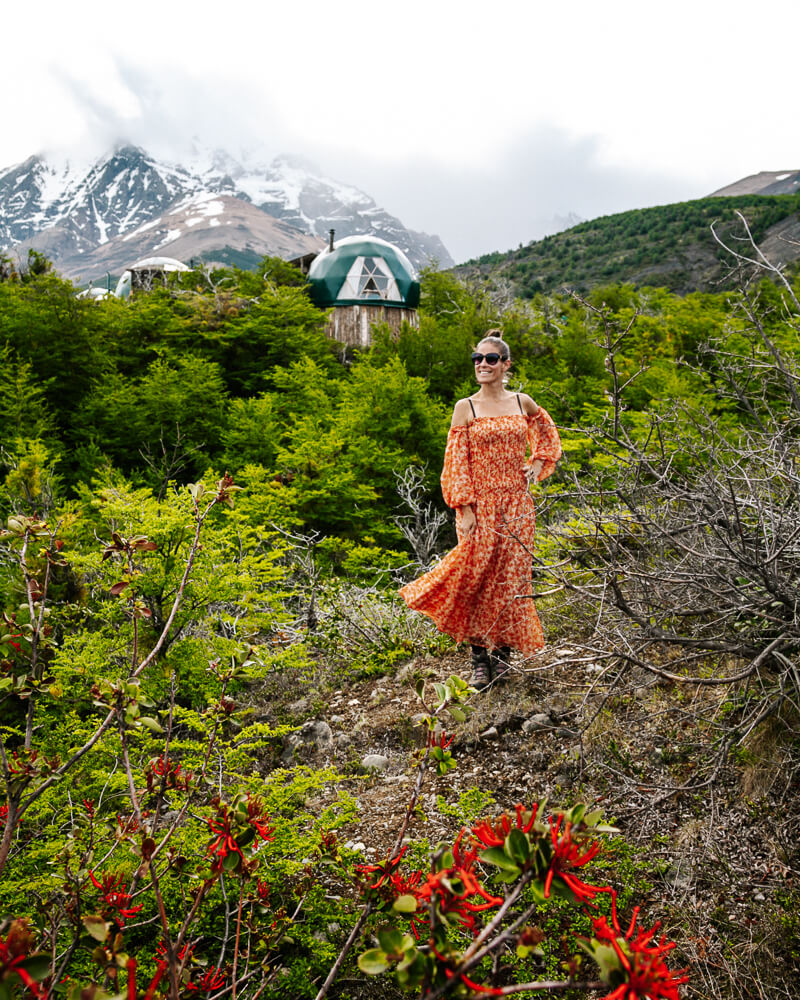 Discover everything you want to know about Ecocamp Patagonia dome hotel, located at the foot of the Torres del Paine massif in Chile.