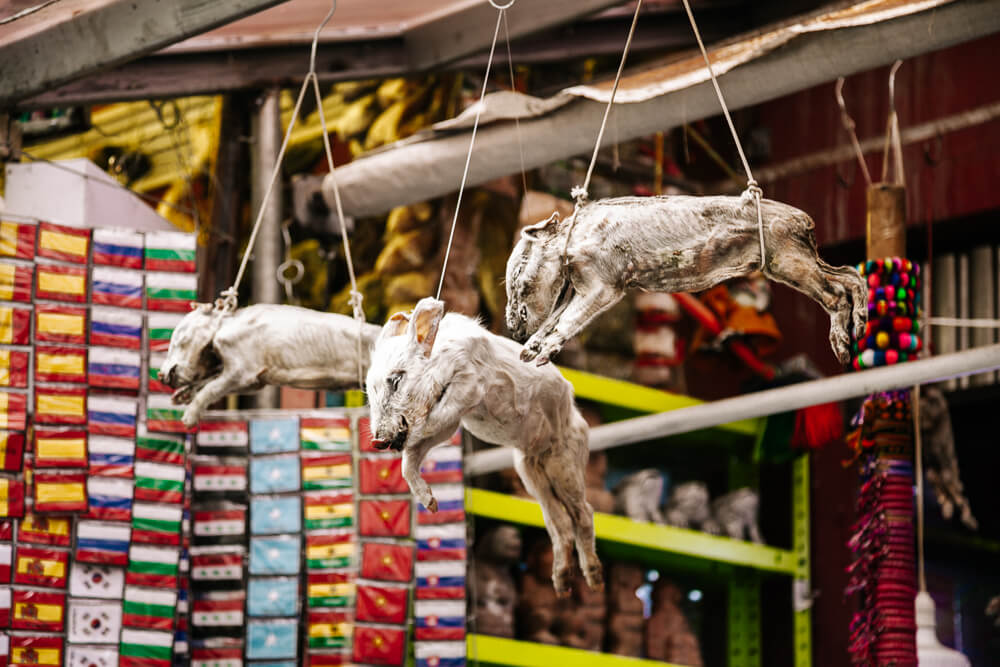 One of the bizarre things you can do in La Paz Bolivia is to visit El Mercado de las Brujas, the Witches Market, where people come to buy llama fetuses, dried frogs, incense, herbs and amulets. 