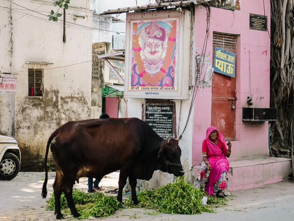 Straatbeeld in Rajasthan India.