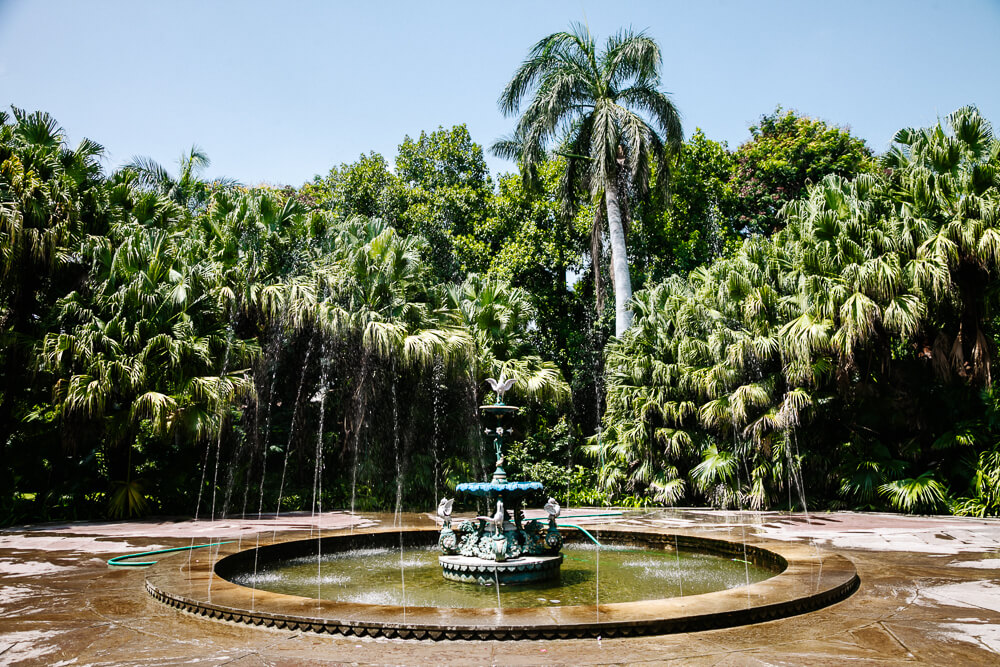 One of my favorite places in Udaipur is Saheliyon-ki-Bari. These gardens filled with ponds and fountains fit right in with the royal atmospheres of Udaipur.