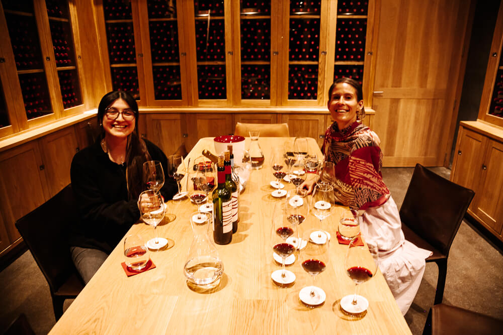 A wine tasting at Viña Vik Chile includes red and rosé wines.