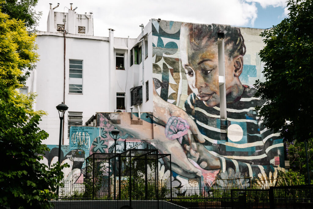 Een van de leukste tours die je in Buenos Aires kunt doen is er eentje over street art, waarbij je aan de hand van kunstenaars en werken meer leert over de stad.