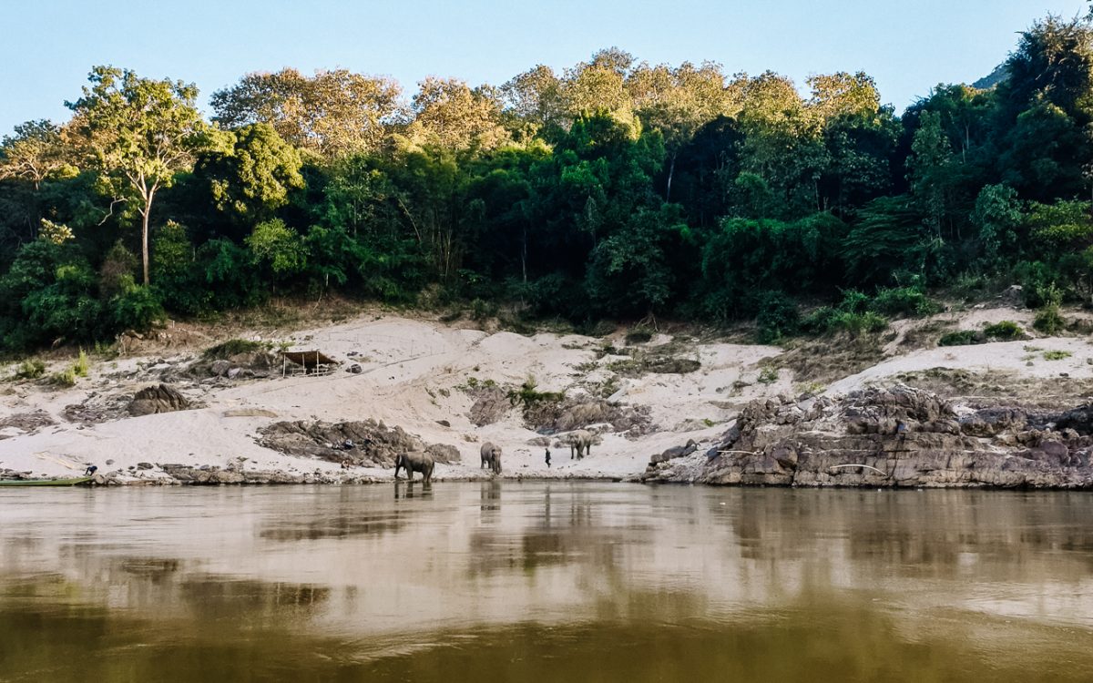 An absolute highlight in Laos and the best way to absorb the beautiful nature is by taking a boat tour on the Mekong river. 