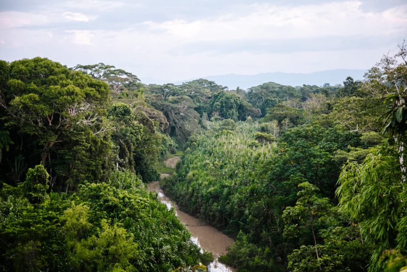 uitzicht op Tambopata rivier