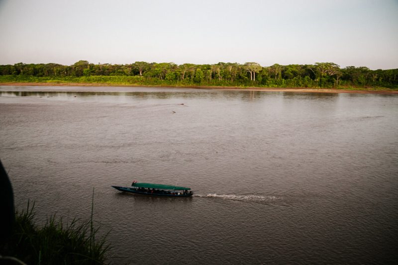 De tocht naar Tambopata Research Center van Rainforest Expeditions duurt ongeveer anderhalf uur maar aangezien je onderweg (waarschijnlijk) al meteen kaaimannen, apen, schildpadden, capibara’s en vogels spot, stop je meerdere malen voor het maken van foto’s en maak je op die manier al uitgebreid kennis met de schoonheid van de Amazone van Peru!