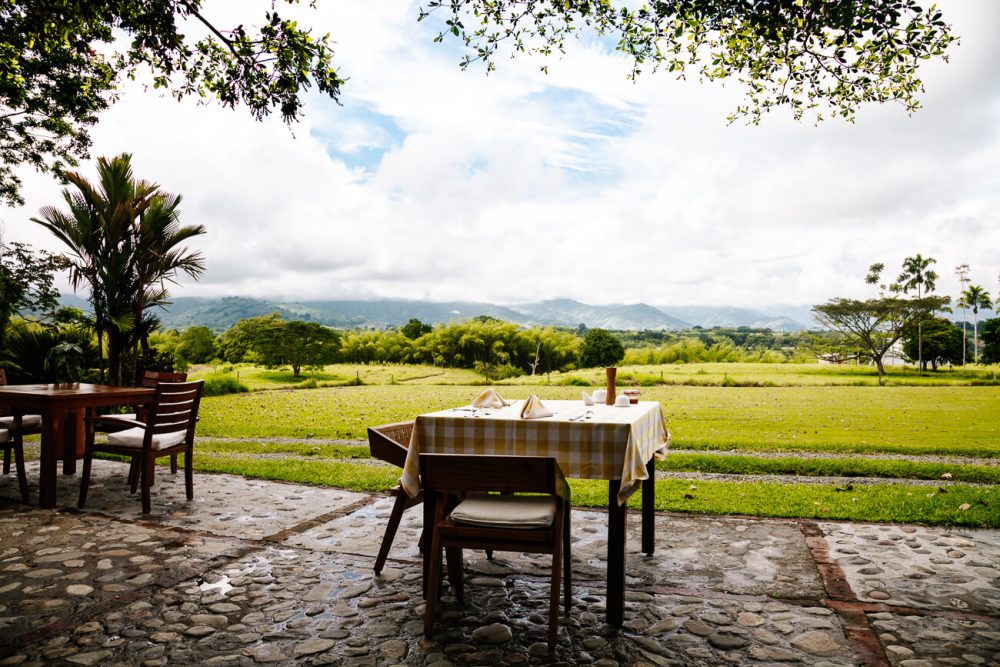 uitzicht vanaf Hacienda Bambusa op weilanden. een voormalige finca omgetoverd tot boutique hotel