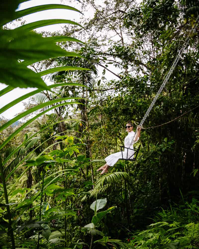 Less than a two hours drive from Quito is Bellavista Cloud Forest, a nature reserve known for its ecosystem and great biodiversity.