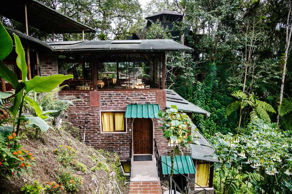 Op nog geen twee rijden van Quito in Ecuador ligt Bellavista Cloud Forest, een natuurreservaat wat bekend staat om haar prachtige nevelwoud en bijzondere vogels.