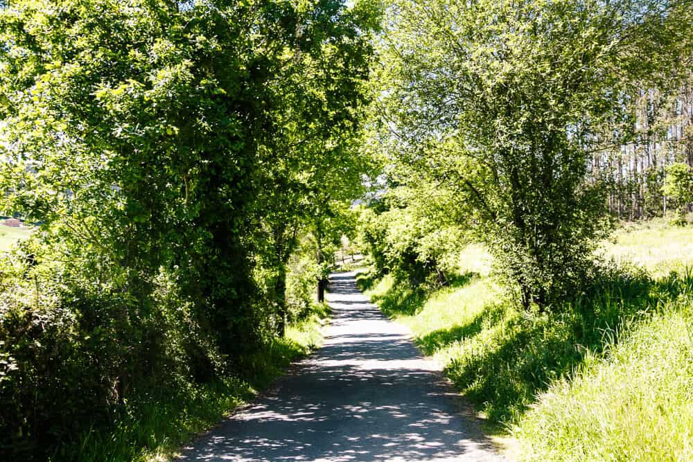 De laatste 100 km naar Santiago de Compostela van de Camino Frances is een route die je in vijf dagen af kunt leggen waarbij je gemiddeld 24 kilometer per dag loopt.