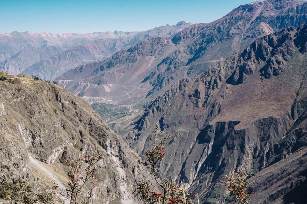 Een van de top bezienswaardigheden rondom Arequipa in Peru is een tocht naar de Colca Canyon. Met een diepte van 4000 meter, is dit een van de diepste kloven ter wereld.