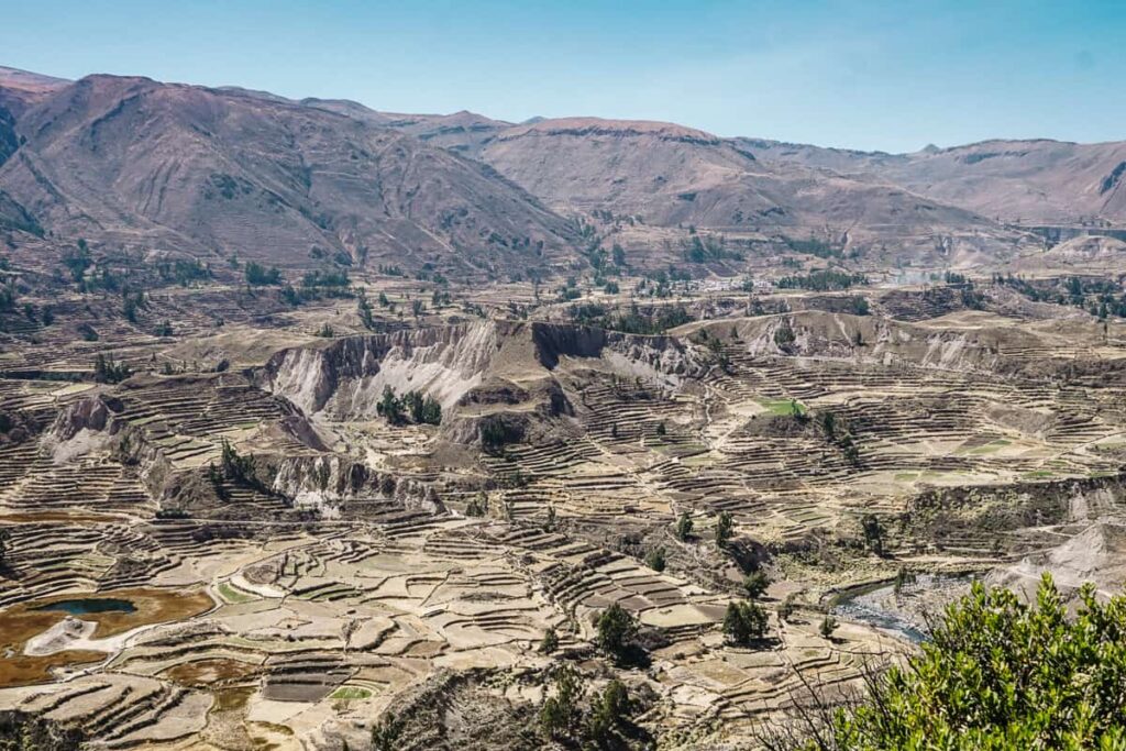 Een van de top bezienswaardigheden rondom Arequipa in Peru is een tocht naar de Colca Canyon. Met een diepte van 4000 meter, is dit een van de diepste kloven ter wereld.