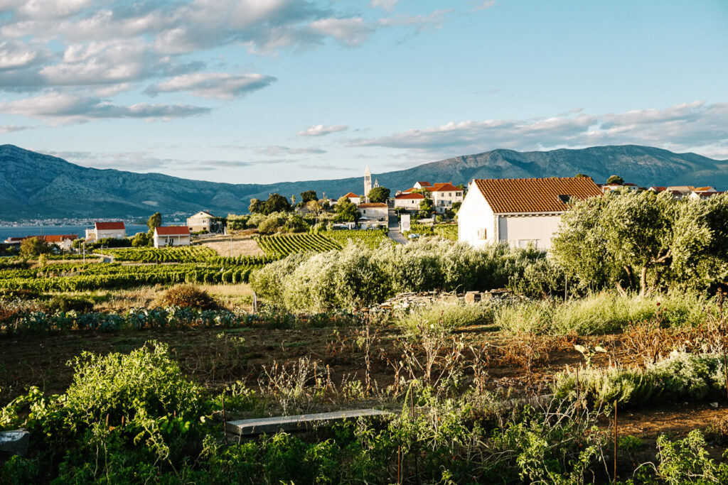 uitzicht vanaf wijn proeverij Vitis, in dorpje Lumbarda op eiland Korcula, Dalmatische kust Kroatie