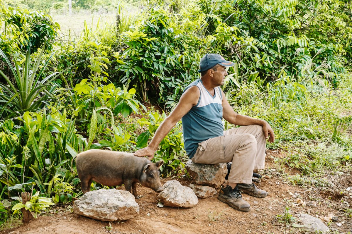 Cuba bezienswaardigheden Vinales