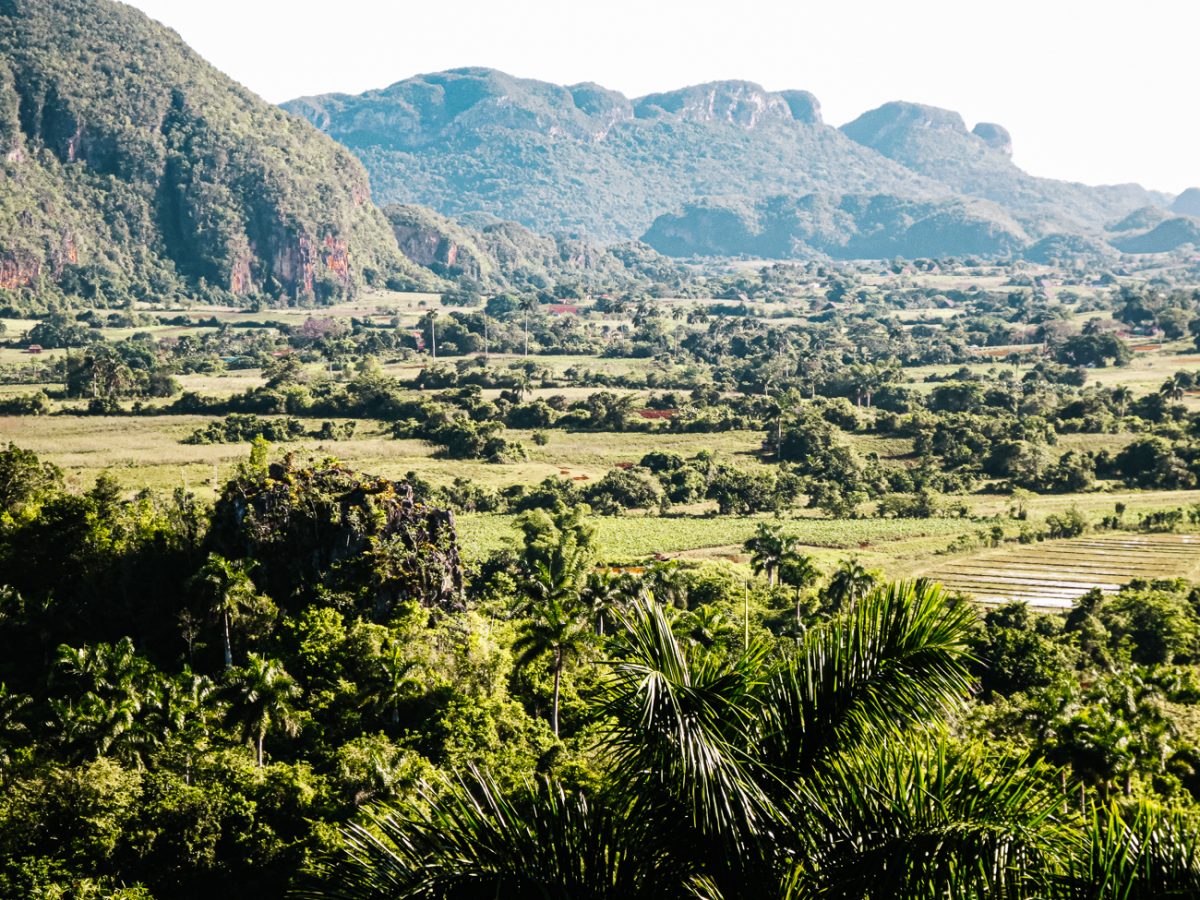 Cuba bezienswaardigheden Vinales