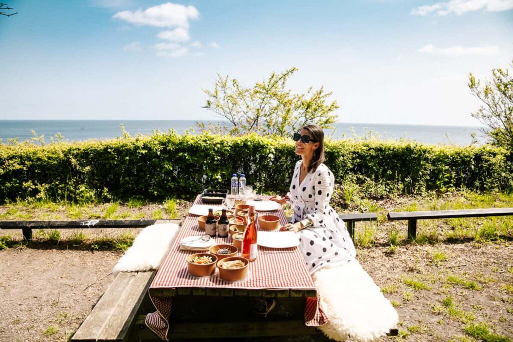 Picknick bij Stevns Klint in Zuid Seeland Denemarken.