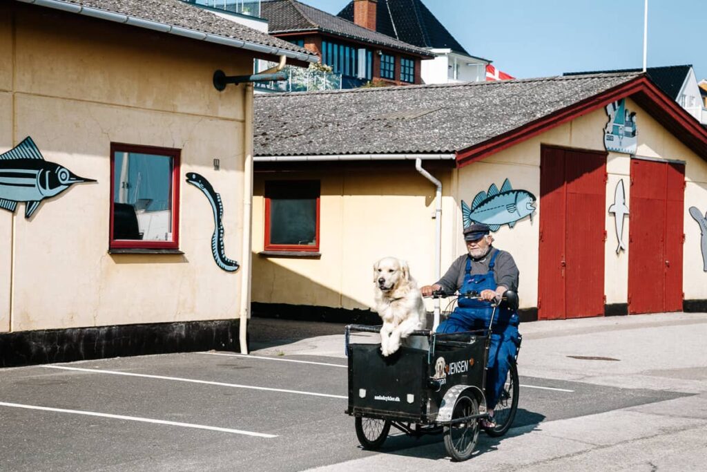 Rødvig is een klein kustplaatsje gelegen aan de Oostkust van Seeland in Denemarken.