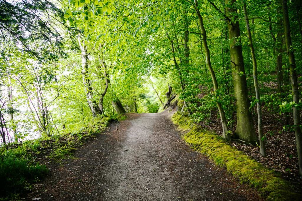 Een van de wandelingen die je kunt maken op Funen Denemarken is de Lillebaeltsti, een 12 kilometer lange route langs de kust.