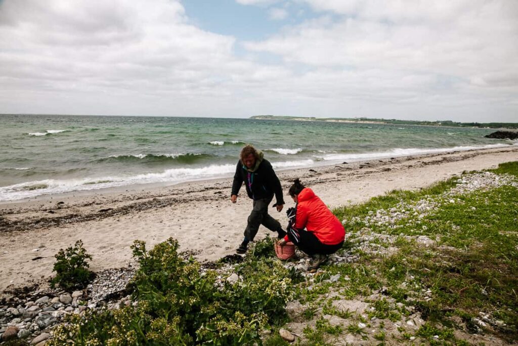 Houd je van buiten zijn en lekker eten? Dan moet je zeker een strandsafari op Funen in Denemarken maken. En dat is iets heel anders dan je verwacht. Met een outdoor gids ga je gedurende een paar uur op pad langs de kust, op zoek naar eetbare planten en kruiden.