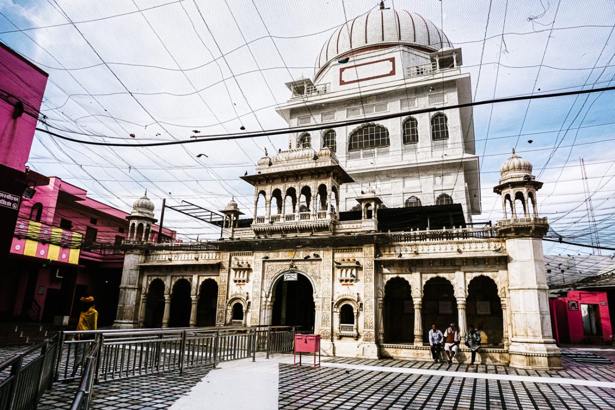 Rattentempel India Karni Mata Deshnok