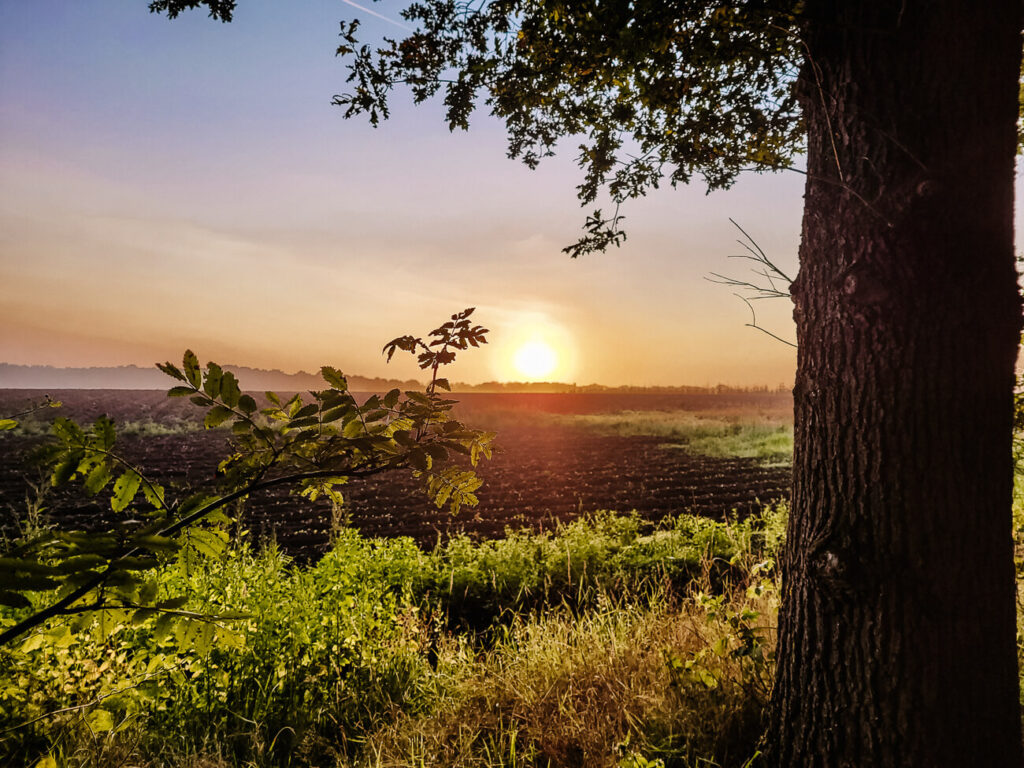 Zonsopkomst in Drenthe, Ga in alle vroegte op pad in de Hondsrug met Eko-tours, een leuke tip voor wat te doen in drenthe