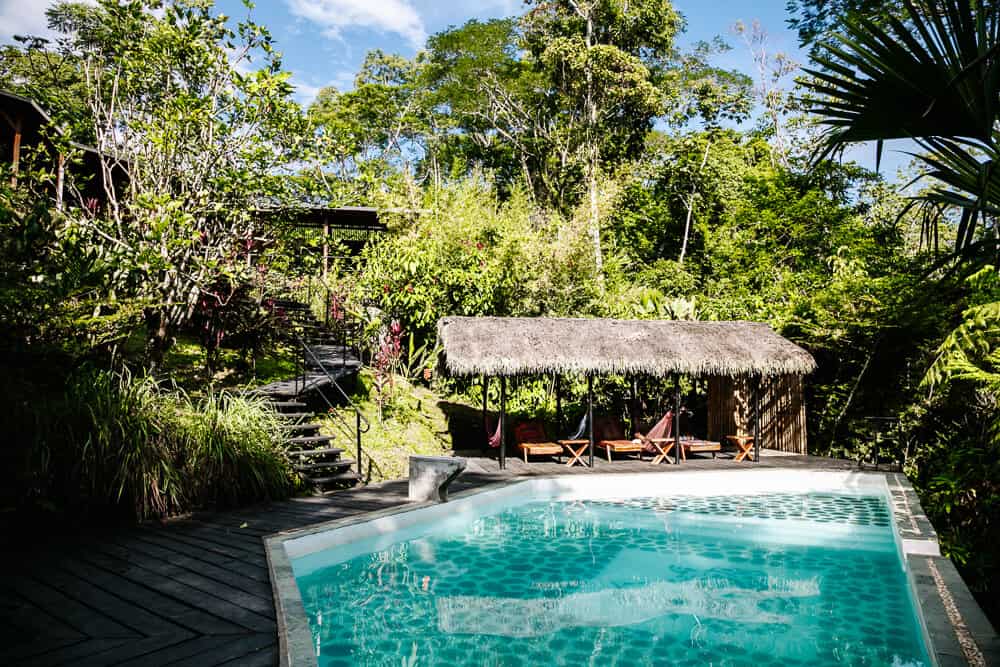 Ontdek Hamadryade Lodge in Ecuador, een waar paradijsje, gelegen op een berg in het regenwoud, nabij het dorpje Rio Napo.