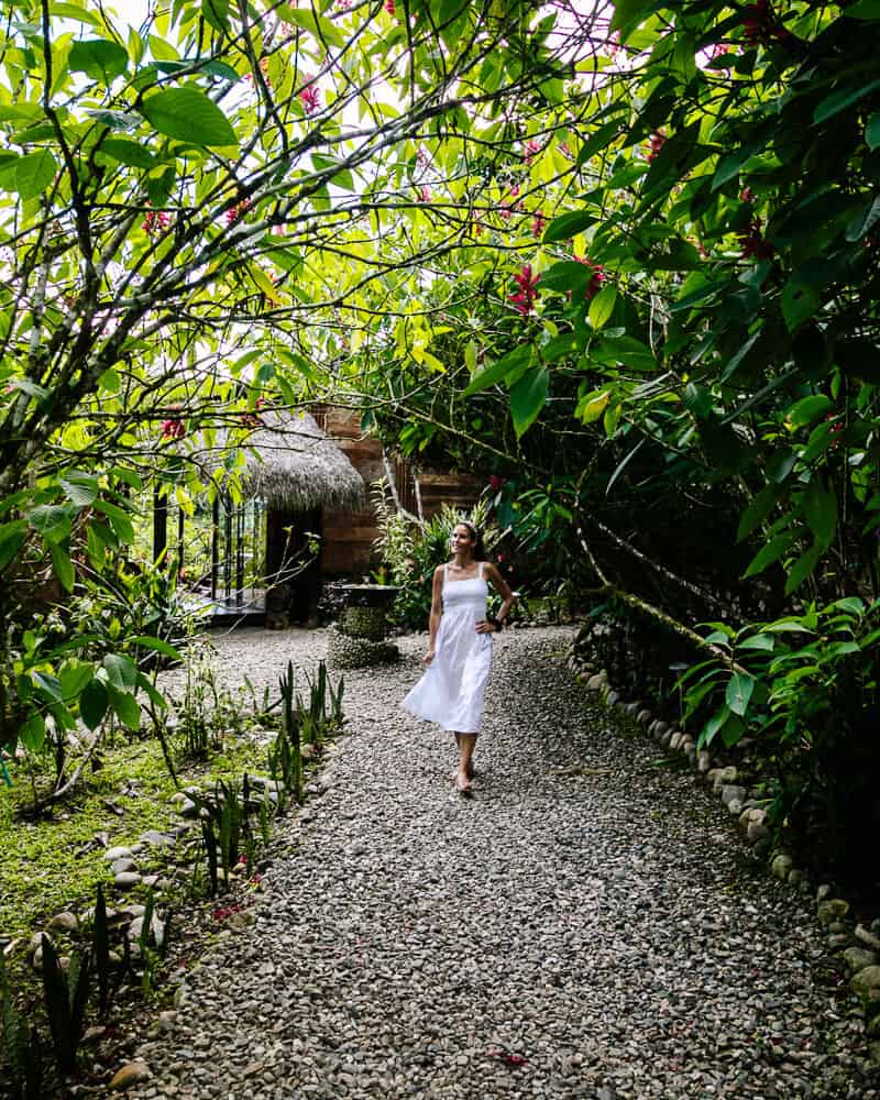 Ontdek Hamadryade Lodge in Ecuador, een waar paradijsje, gelegen op een berg in het regenwoud, nabij het dorpje Rio Napo.