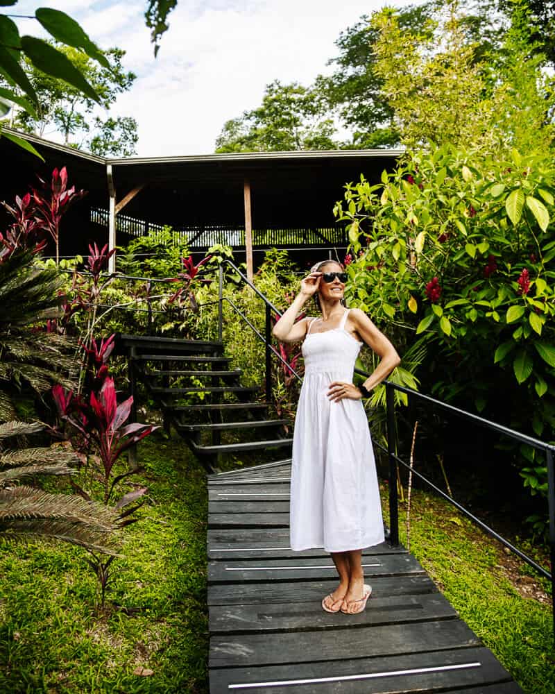 Ontdek Hamadryade Lodge in Ecuador, een waar paradijsje, gelegen op een berg in het regenwoud, nabij het dorpje Rio Napo.