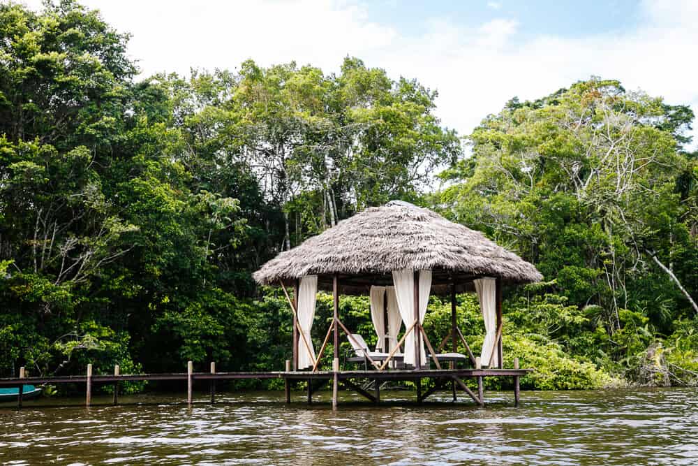 La Selva Jungle Lodge ligt aan de Laguna Garzacocha in de Amazone van Ecuador.